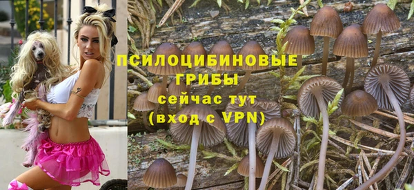 амфетамин Ладушкин