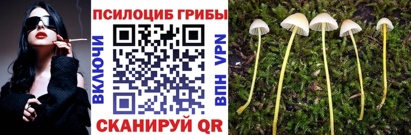 Галлюциногенные грибы мицелий  Симферополь 